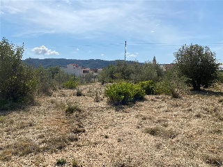 MAESTRAT EL 35