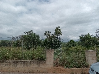 MAESTRAT EL 37
