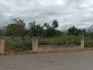 MAESTRAT EL 38