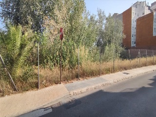 CONCHA PIQUER 8