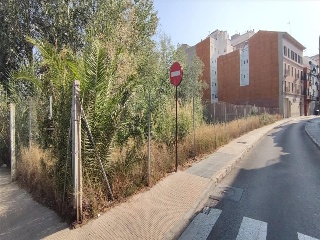 CONCHA PIQUER 9