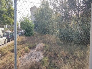 CONCHA PIQUER 11