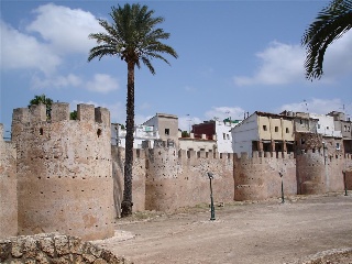 CONCHA PIQUER 17