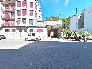 Constitucion 20
