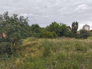 PORT DE LA SELVA 11