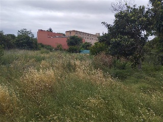 PORT DE LA SELVA 12