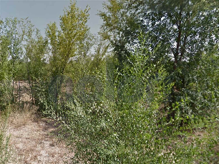 otros en venta , Villa De Don Fadrique , 15453 m2 6