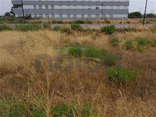 otros en venta , Pobla Llarga , 1428 m2 9