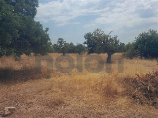 otros en venta , Petres , 647 m2 3