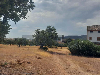 otros en venta , Petres , 647 m2 5