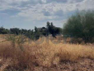 otros en venta , Petres , 647 m2 8