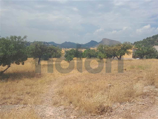 otros en venta , Petres , 647 m2 10