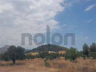 otros en venta , Petres , 647 m2 12