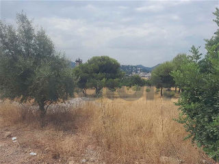 otros en venta , Petres , 647 m2 13