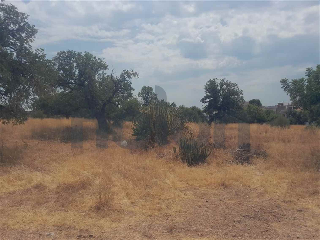 otros en venta , Petres , 647 m2 14