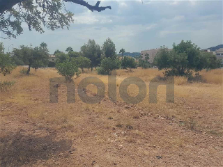 otros en venta , Petres , 647 m2 15
