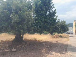 otros en venta , Petres , 647 m2 18