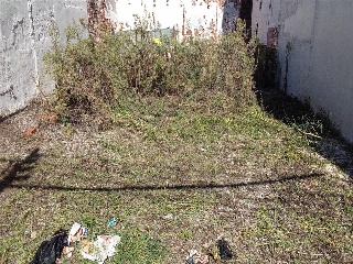 BAGES 15