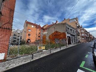 AZUCENAS 8