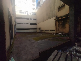PERILLANA 19