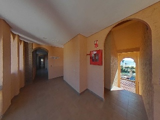  24