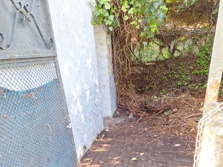 BARRIO ARRIBA 9