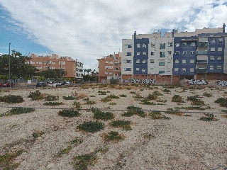 PARCELAS C1-2, C5, C6, AG3 Y AG4. FASE 2, EL PALMA 7