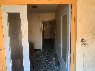 El Donante 11