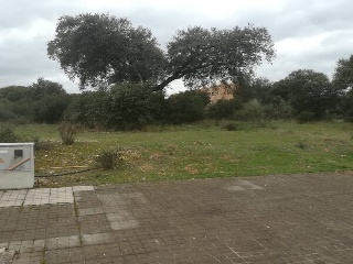 Hospital De San Andres 2