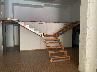 Francisco Vicente Rodrigu 2