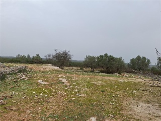 PARAJE BALSA BLANCA 3