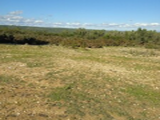 PARAJE BALSA BLANCA 4
