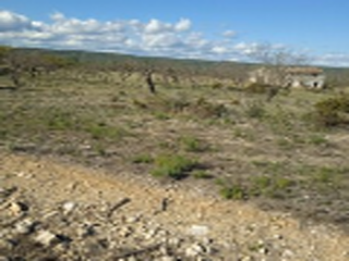 PARAJE BALSA BLANCA 5