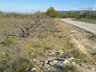 PARAJE BALSA BLANCA 6