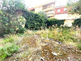 SAN MARCIAL 6