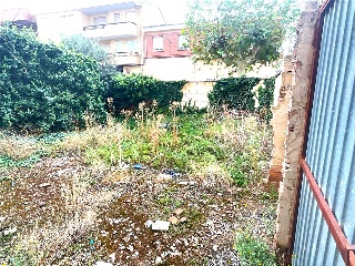 SAN MARCIAL 7