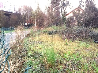 VALDOVIÑO 4