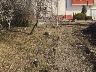 VALDOVIÑO 9