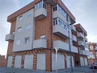 MACEROS 16