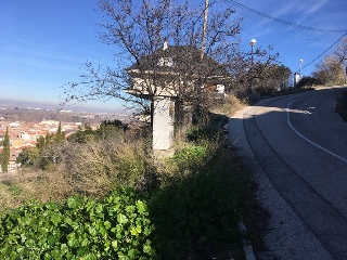 MIRO 3