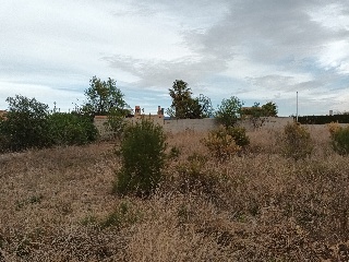CL. LOS NARANJOS (URB. AGUAS PERDIDAS), 3