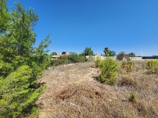 CL. LOS NARANJOS (URB. AGUAS PERDIDAS), 4