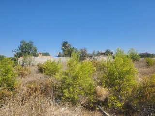 CL. LOS NARANJOS (URB. AGUAS PERDIDAS), 8