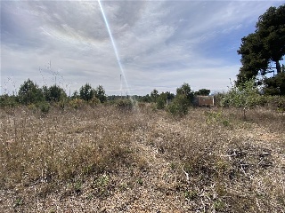 CL. LOS NARANJOS (URB. AGUAS PERDIDAS), 16