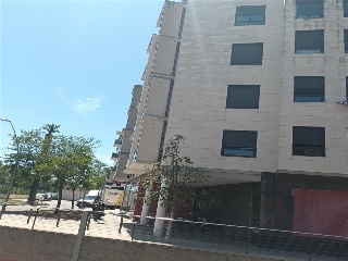 Pineda 3