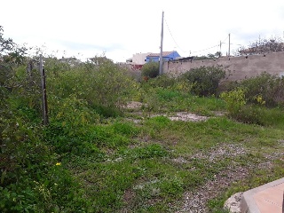 Vivienda en construcción en Lg Los Nietos Viejos, Cartagena (Murcia) 19
