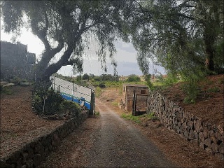 Suelo rústico en Lugar el Mato 6