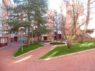 00503-0001 2