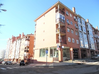 00503-0001 11