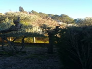 Solar situado en Gelida 2